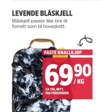 Meny Ukjent blåskjell tilbud