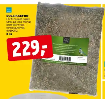 jem & fix SOLSIKKEFRØ tilbud