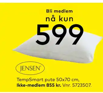 Skeidar TempSmart pute 50x70 cm tilbud