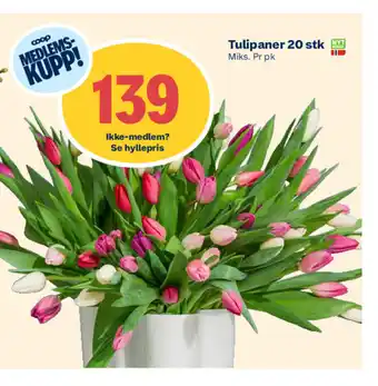 Coop Extra Tulipaner 20 stk tilbud