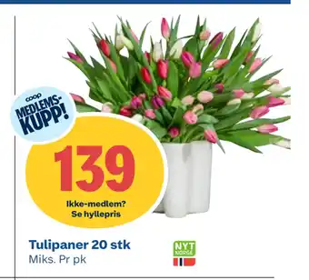 Coop Obs Tulipaner 20 stk tilbud