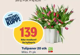 Coop Mega Tulipaner 20 stk tilbud