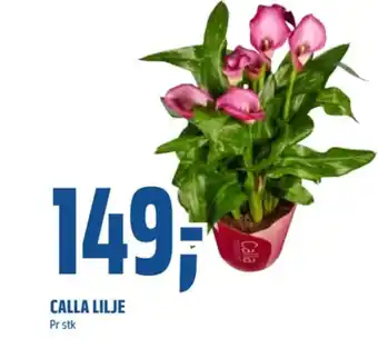 Coop Obs Ukjent plante tilbud