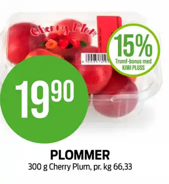 Ukjent plommer