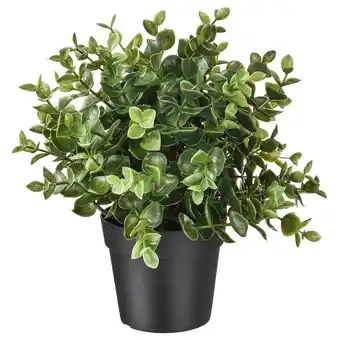 IKEA Fejka Kunstig potteplante, oregano, 9 cm tilbud