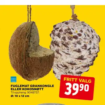 jem & fix FUGLEMAT GRANKONGLE ELLER KOKOSNØTT tilbud