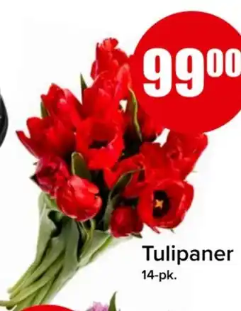 Spar Tulipaner 14-pk. tilbud