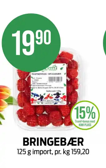 Kiwi BRINGEBÆR tilbud