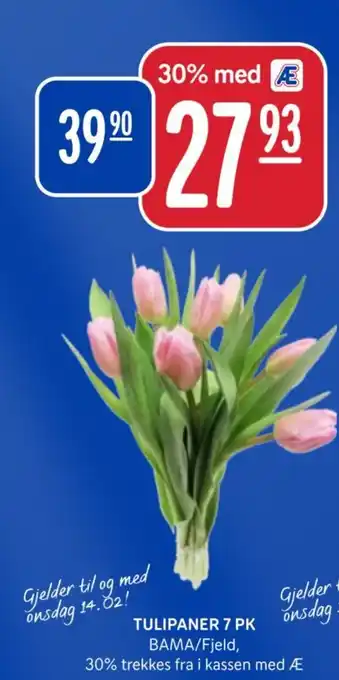 Rema 1000 TULIPANER 7 PK tilbud