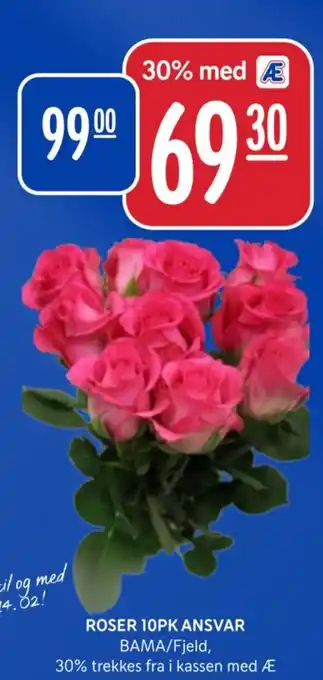 Rema 1000 ROSER 10PK ANSVAR tilbud