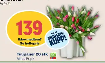 Coop Mega Tulipaner 20 stk tilbud