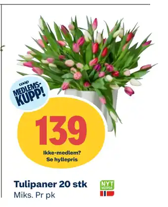 Coop Obs Tulipaner 20 stk tilbud