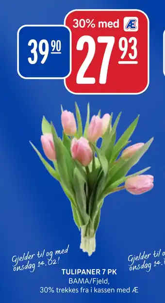 Rema 1000 TULIPANER 7 PK tilbud