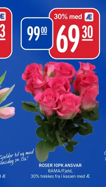 Rema 1000 ROSER 10PK ANSVAR tilbud
