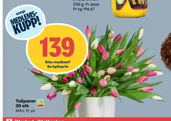 Matkroken Tulipaner 20 stk tilbud