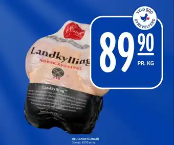 Rema 1000 Stange kylling tilbud