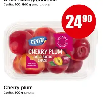 Eurospar Ukjent plommer tilbud