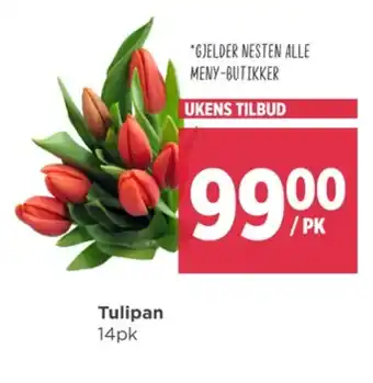 Meny Ukjent bukett tilbud
