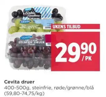 Meny Cevita druer tilbud
