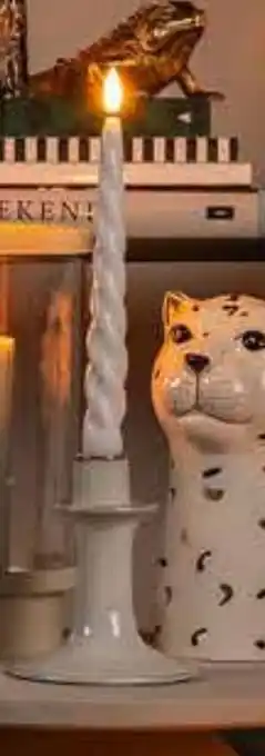 Nille KRONELYS tilbud