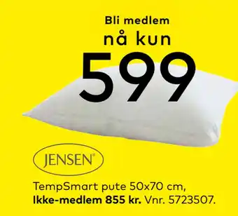Skeidar TempSmart pute 50x70 cm tilbud