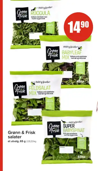 Grønn & Frisk salater