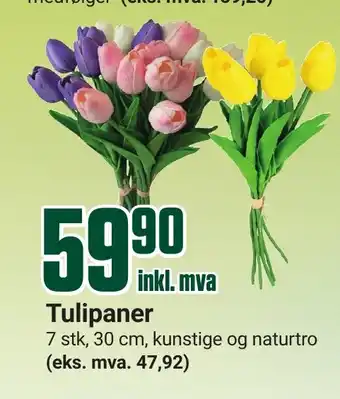 Europris Tulipaner tilbud