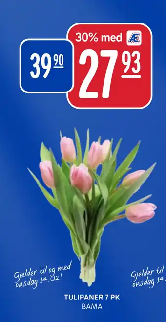 Rema 1000 TULIPANER 7 PK tilbud