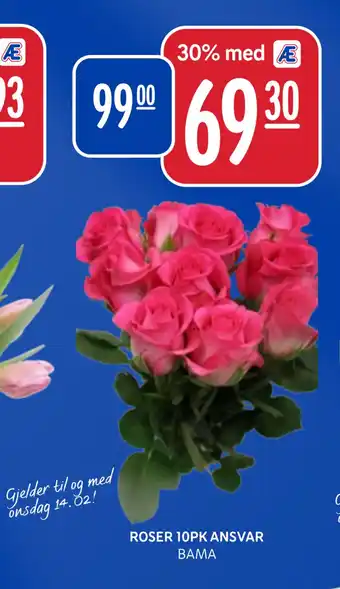 Rema 1000 ROSER 10PK ANSVAR tilbud