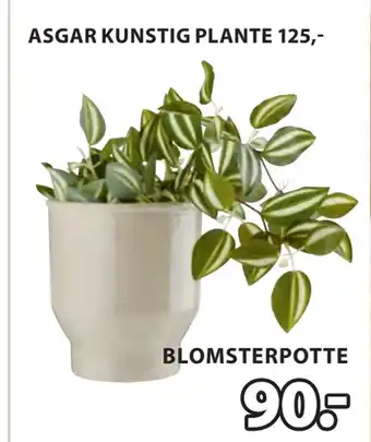 JYSK ASGAR KUNSTIG PLANTE tilbud