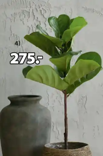 JYSK KELD KUNSTIG PLANTE tilbud