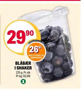 BLÅBÆR I SHAKER