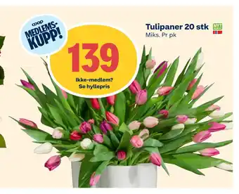 Coop Extra Tulipaner 20 stk tilbud