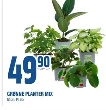 Coop Obs Ukjent plante tilbud