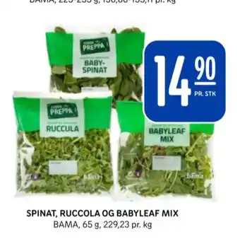 Rema 1000 Bama salat tilbud