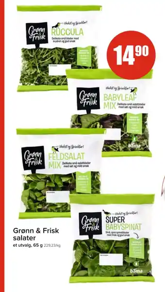 Spar Grønn & Frisk salater tilbud