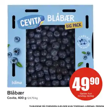 Spar Blåbær tilbud