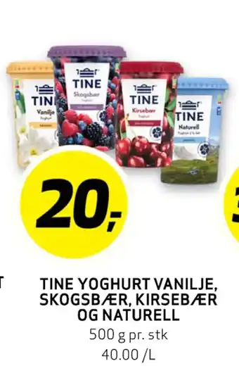 Bunnpris TINE YOGHURT VANILJE, SKOGSBÆR, KIRSEBÆR OG NATURELL tilbud