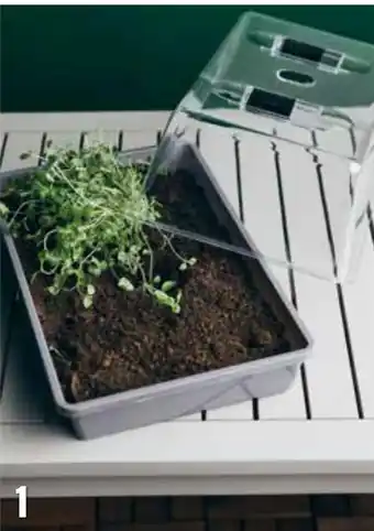 Europris Minidrivhus tilbud