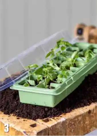 Europris Minidrivhus tilbud