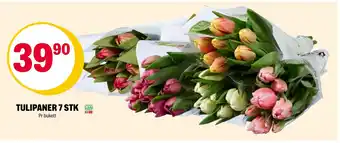Coop Extra TULIPANER 7 STK tilbud