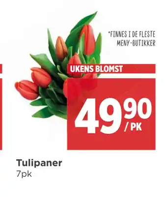 Meny Tulipaner tilbud