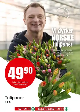 Spar Tulipaner tilbud