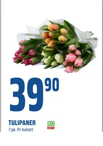 Coop Obs TULIPANER tilbud