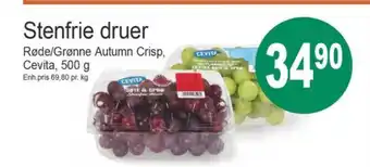 Joker Cevita druer tilbud