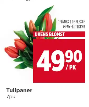Meny Tulipaner tilbud