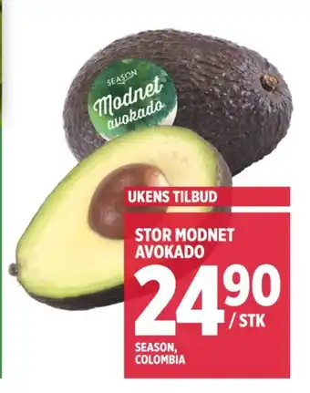 Meny Season avokado tilbud