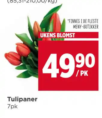 Meny Tulipaner tilbud