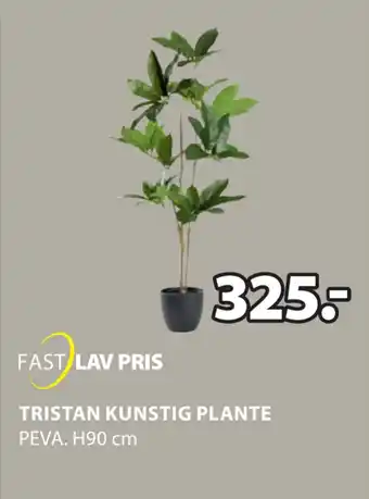 JYSK TRISTAN KUNSTIG PLANTE tilbud