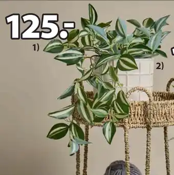 JYSK ASGAR KUNSTIG PLANTE tilbud